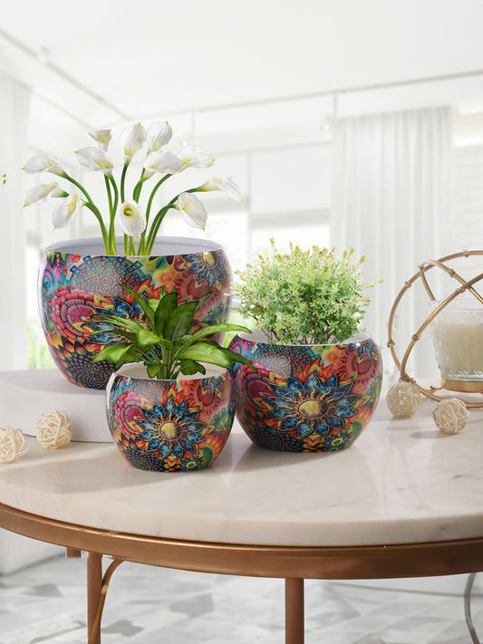 Elitta Ethnic Handcrafted Planter - Set Of Three