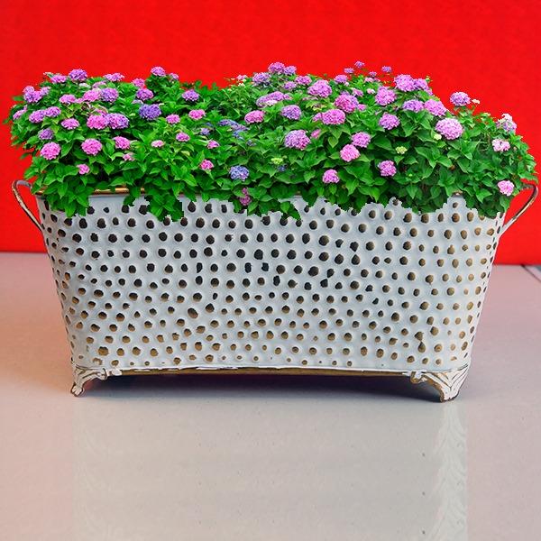 White Rustic Metal Rectangular Bucket Patio Planter with Handles (Set of Two)