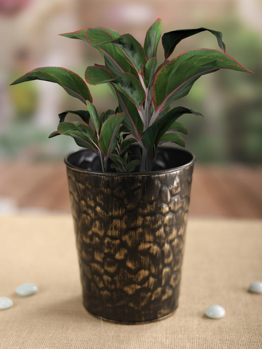Black and Gold Rough Stone Texture  Planters