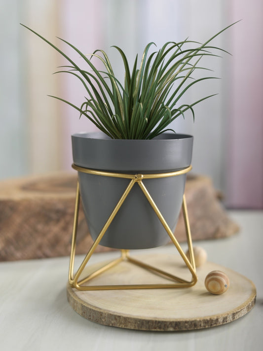 Grey  Cylindrical Pot  with Iron Crossed Stands