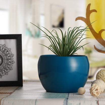 Nectera Metal Planter (Blue/Pink/Green) - Set Of Three
