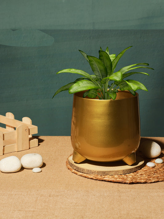 Classic Gold-Toned Solid Metal Planter With legs
