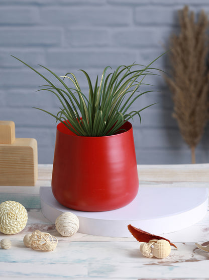 Melva Handcrafted Planter - Red