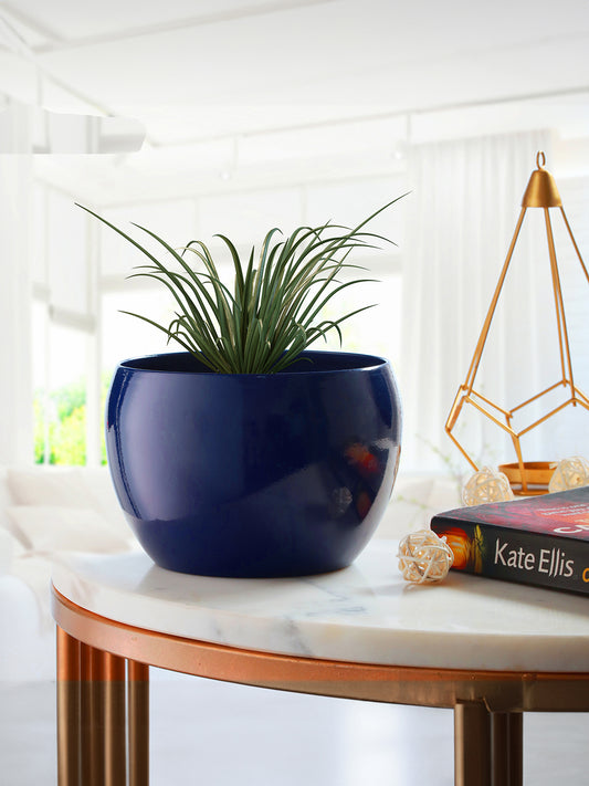 Marsha Miro Planter