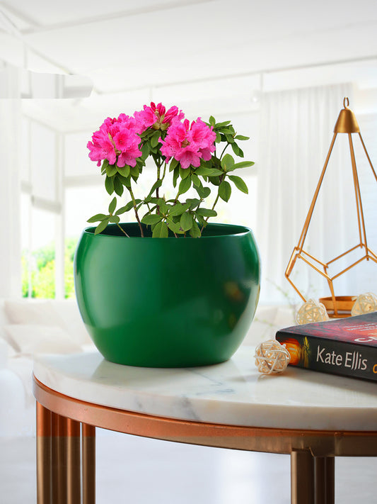 Marsha Miro Planter