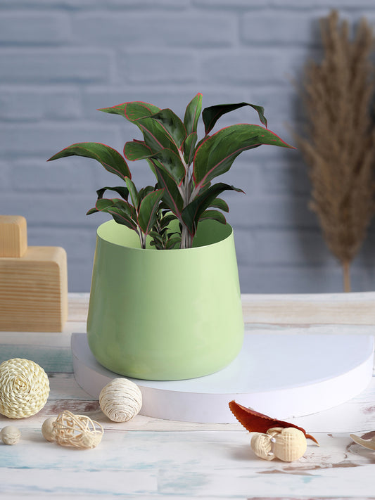 Melva Handcrafted Planter - Green