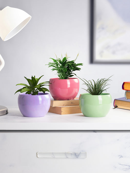 Nectera Metal Planter (Purple/Pink/Green) - Set Of Three