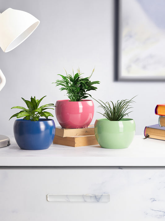 Nectera Metal Planter (Blue/Pink/Green) - Set Of Three