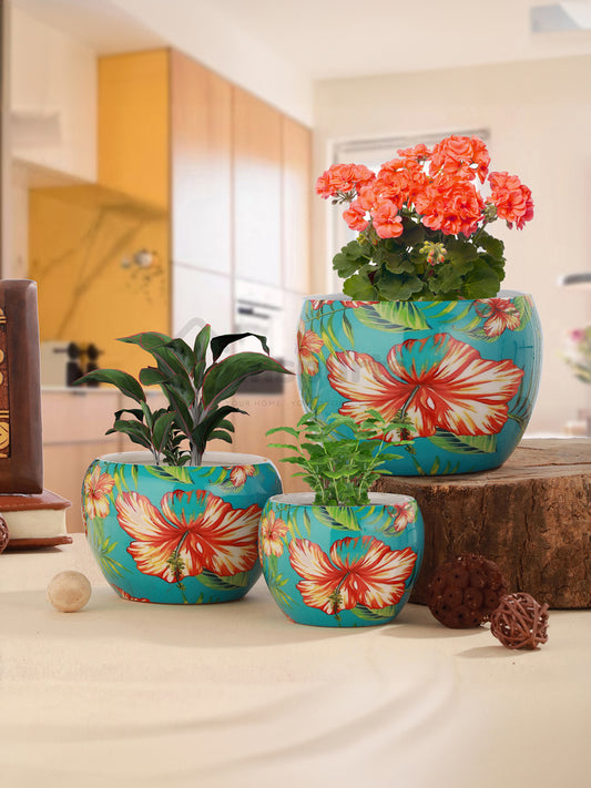 Hibiscus Handcrafted Planter - Set Of Three