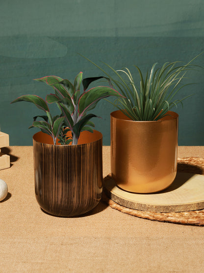 Aurora Luxe Collection