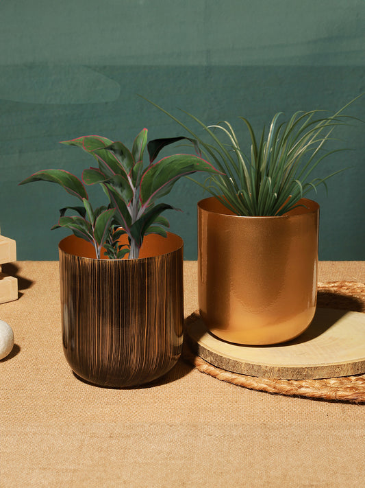 Aurora Luxe Collection