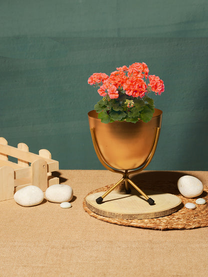 Matte Finish Golden Table Top Metal Planters With Stand 