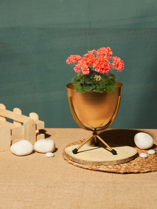 Matte Finish Golden Table Top Metal Planters With Stand 