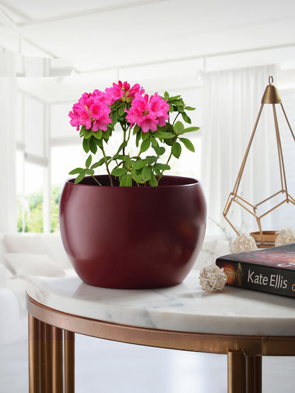 Marsha Miro Planter