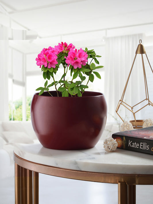 Marsha Miro Planter