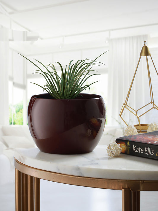 Marsha Miro Planter (Blue & Brown) - Set Of Two