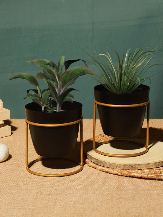 Parona Metal Planter - Set Of Two