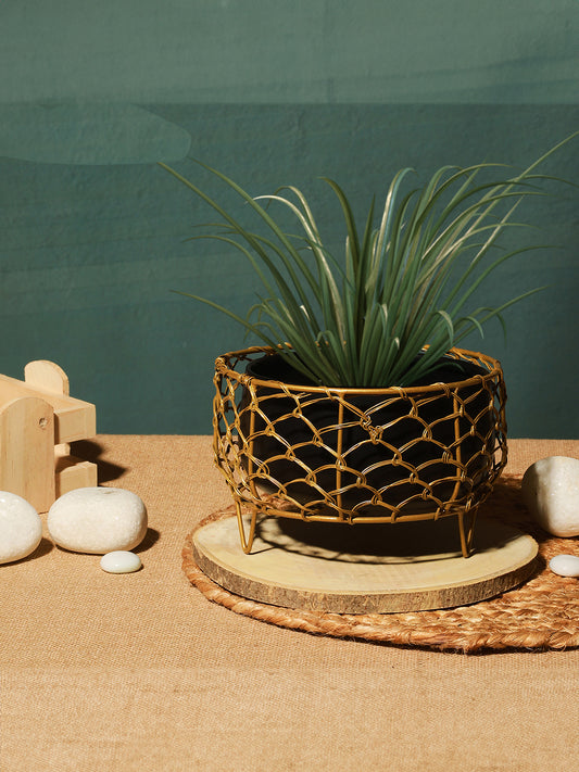 Luxurious Golden Net Black Planter