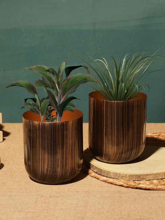 Aurora Luxe Collection