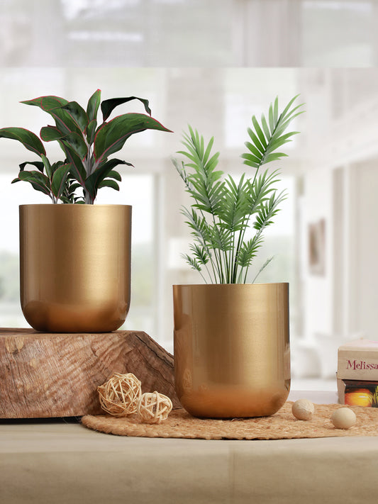 Aurora Luxe Collection