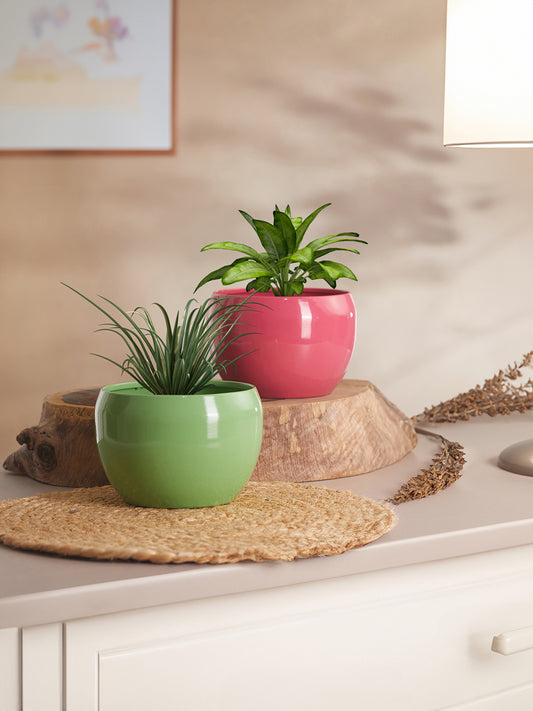 Nectera Metal Planter (Pink/Green) - Set Of Two