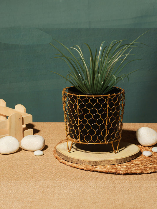 Luxurious Golden Net Black Planter