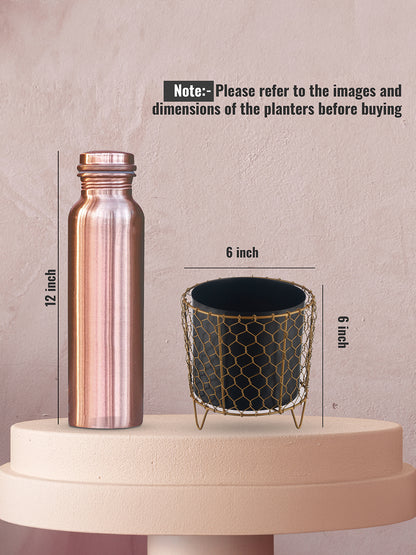 Luxurious Golden Net Black Planter