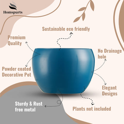 Nectera Metal Planter (Pink/Blue) - Set Of Two