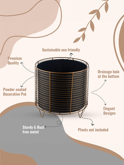 Luxurious Golden Net Black Planter