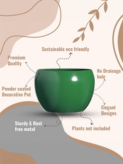 Porsho Fantasy Planter - Set Of Four