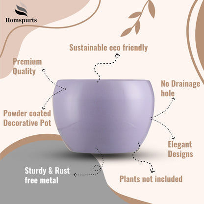 Nectera Metal Planter (Purple/Pink/Green) - Set Of Three