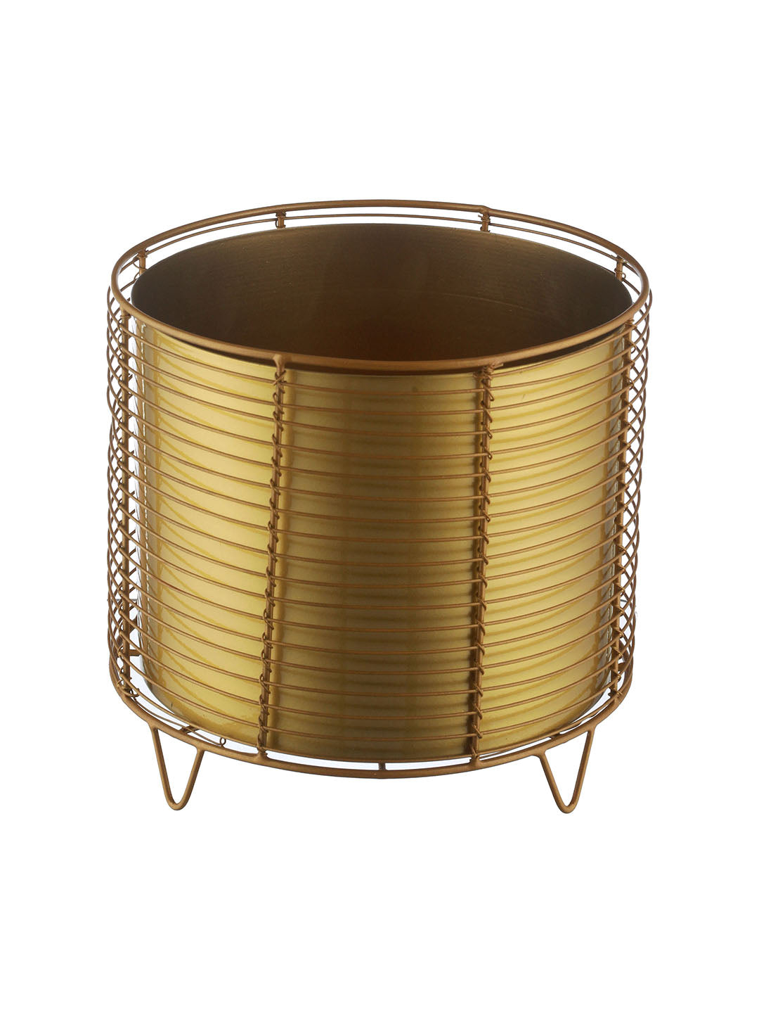 Luxurious  Black Net Golden  Planter