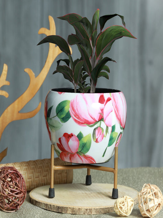 Lotus Bloom Handcrafted Planter With Stand