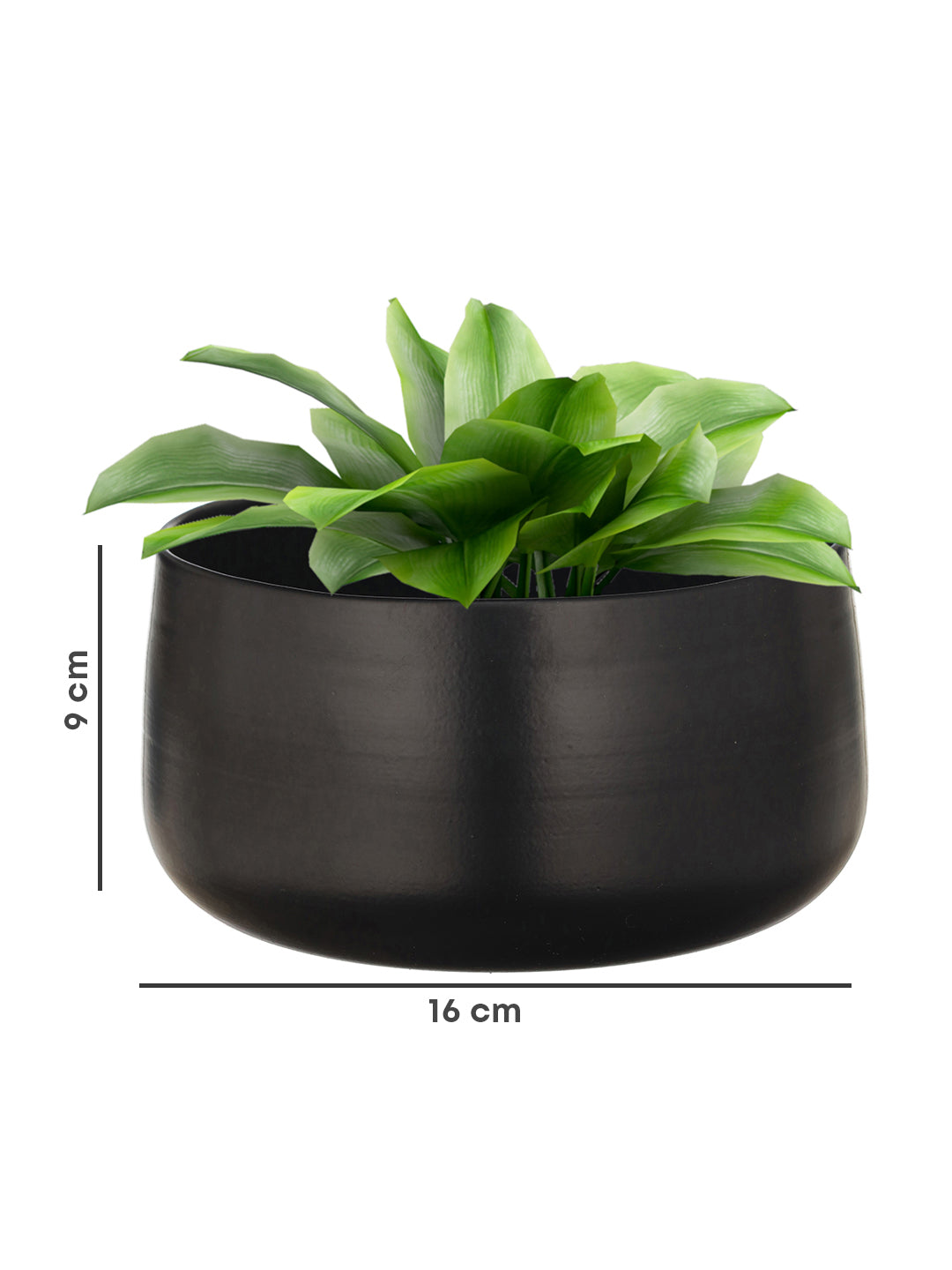 Helena Hue Planter (Black) - Set Of Two