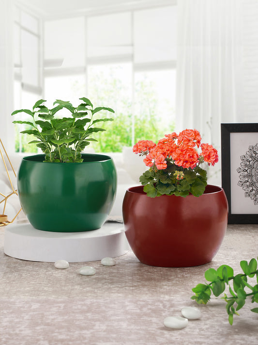 Marsha Miro Planter (Green & Red) - Set Of Two