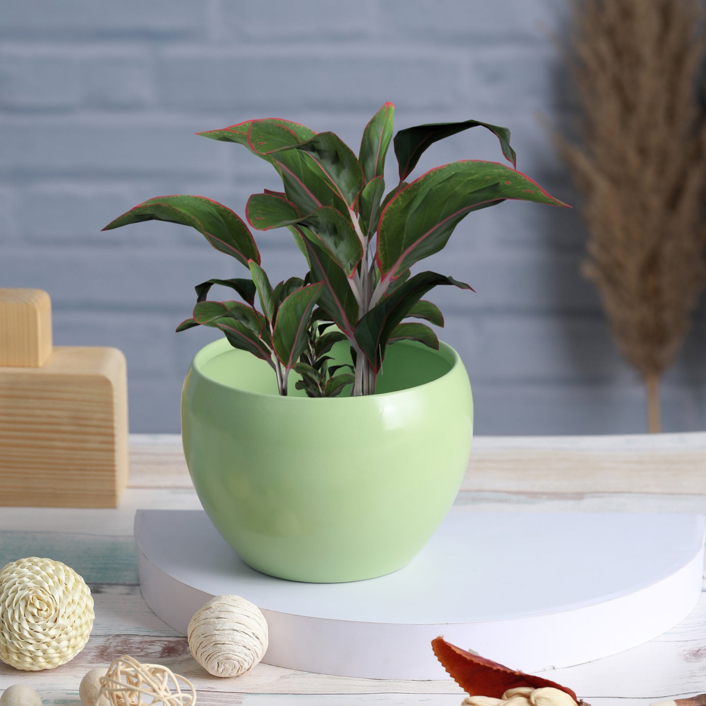 Nectera Metal Planter (Blue/Pink/Green) - Set Of Three