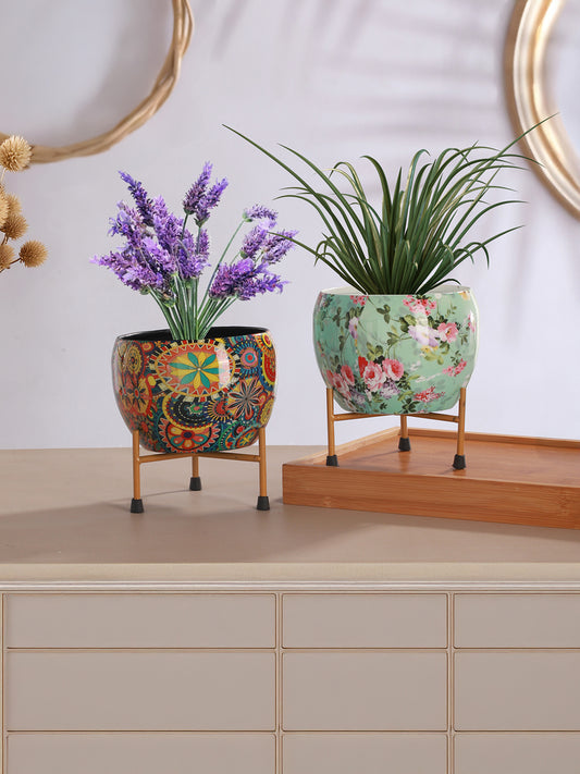 Bloom Blush Planter - Set Of Two