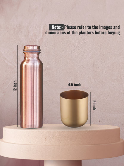 Aurora Luxe Collection