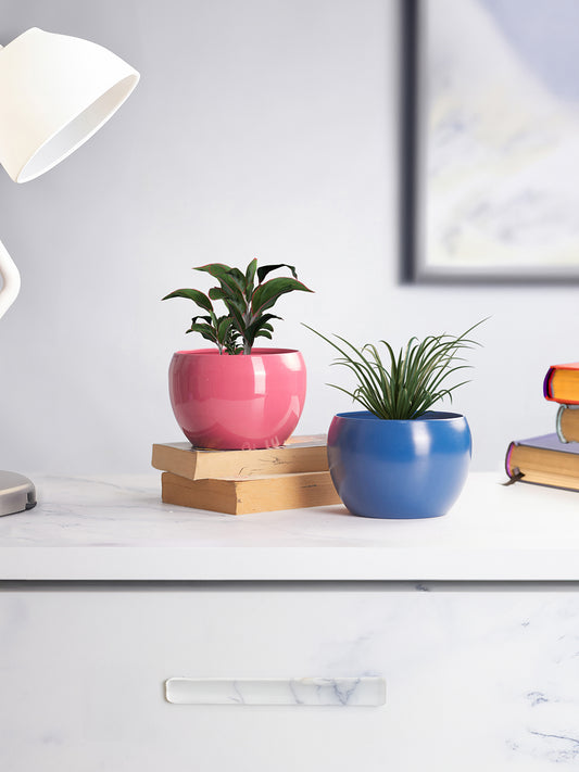 Nectera Metal Planter (Pink/Blue) - Set Of Two
